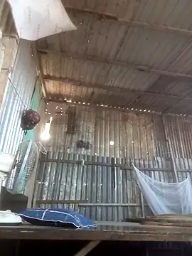 Dothanhthuan555 online show from March 25, 2026, 2:44 am