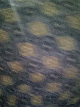 Snapshot of Tanha18 chatting on December 5, 2025, 7:01 pm Tanha18 online show from December 5, 2025, 7:01 pm