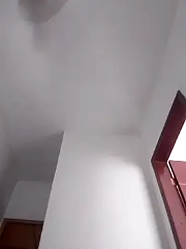 Camilanifeta online show from February 25, 2026, 5:46 pm