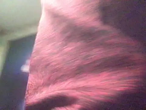 Snapshot of CraveMyCock chatting on January 13, 2026, 1:42 am CraveMyCock online show from January 13, 2026, 1:42 am