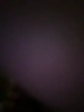 fresh-laD online show from February 24, 2026, 12:11 am