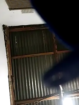 Snapshot of MyGuy352 chatting on December 1, 2025, 5:36 pm MyGuy352 online show from December 1, 2025, 5:36 pm