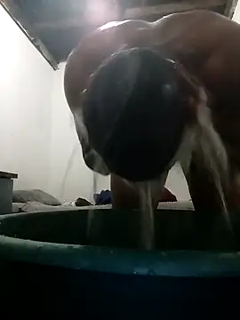 Snapshot of MyGuy352 chatting on December 4, 2025, 7:13 pm MyGuy352 online show from December 4, 2025, 7:13 pm