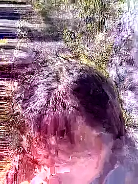 siusiu-00 online show from January 18, 2026, 5:00 am