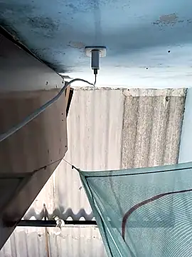 Snapshot of RennySem chatting on November 1, 2025, 5:40 pm RennySem online show from November 1, 2025, 5:40 pm