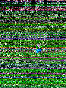 Your hope77 online show from November 3, 2025, 4:21 pm