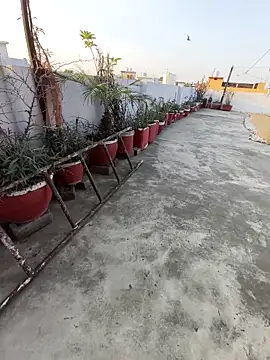 Snapshot of imyoungboymay chatting on March 25, 2026, 12:04 pm imyoungboymay online show from March 25, 2026, 12:04 pm