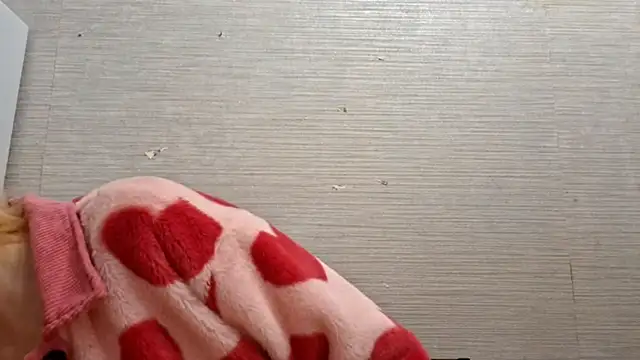 AstraVale online show from November 3, 2025, 8:18 am