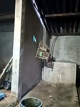 Myzak- online show from March 22, 2026, 11:23 am