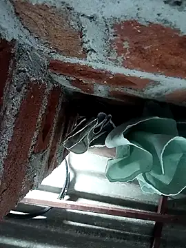 Rajni chauhan online show from November 4, 2025, 7:06 pm