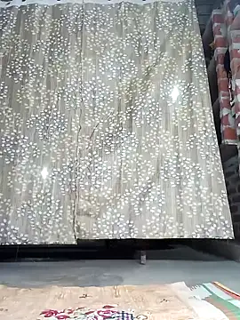 Rajni chauhan online show from December 5, 2025, 4:16 pm