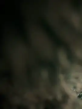 menina coimbrinha online show from October 15, 2025, 9:06 am