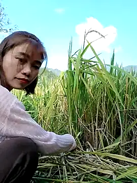 omai-ngot online show from October 23, 2025, 1:48 am