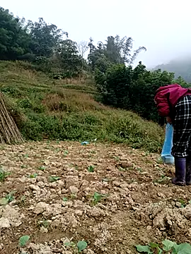 omai-ngot online show from December 4, 2025, 2:21 am