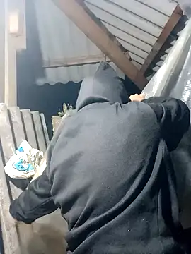 nui-show online show from November 15, 2025, 1:37 pm