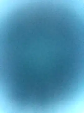 Snapshot of tabby-cat11 chatting on February 19, 2026, 2:47 pm tabby-cat11 online show from February 19, 2026, 2:47 pm