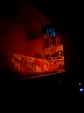 boy15cm1 online show from October 17, 2025, 9:49 pm