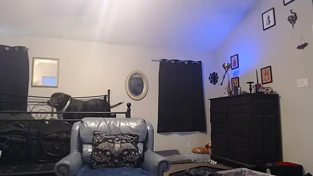 Snapshot of ImKatMeow chatting on February 16, 2026, 6:50 pm ImKatMeow online show from February 16, 2026, 6:50 pm