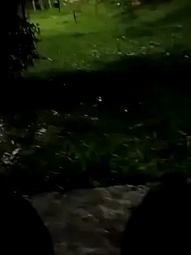 roludao fun online show from November 3, 2025, 10:24 pm