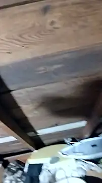 Snapshot of faithfulchic chatting on October 20, 2025, 10:21 pm faithfulchic online show from October 20, 2025, 10:21 pm