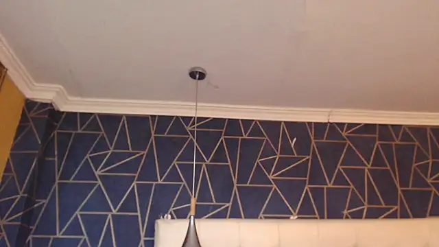 SantiOlsen online show from November 29, 2025, 3:12 pm