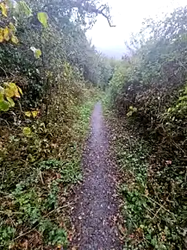 bbyxklaus online show from October 20, 2025, 11:44 am