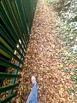 bbyxklaus online show from November 4, 2025, 10:30 am