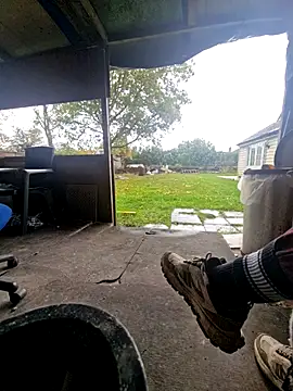 bbyxklaus online show from October 29, 2025, 12:48 pm