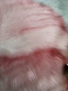 Sph9mm online show from October 30, 2025, 3:20 pm