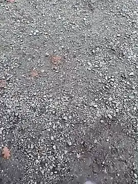 Snapshot of Imyourguy2025 chatting on November 1, 2025, 2:11 pm Imyourguy2025 online show from November 1, 2025, 2:11 pm