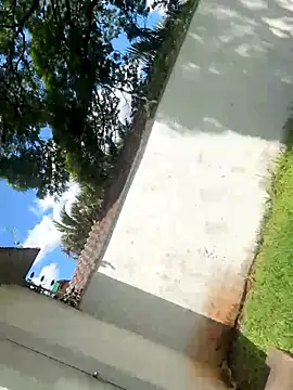 wellingtonmds online show from October 19, 2025, 4:32 pm