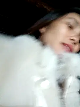 Bear bear0 online show from November 26, 2025, 3:34 pm