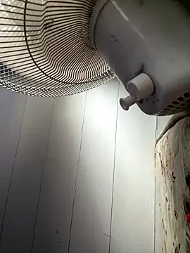 cheems232 online show from November 22, 2025, 8:51 pm