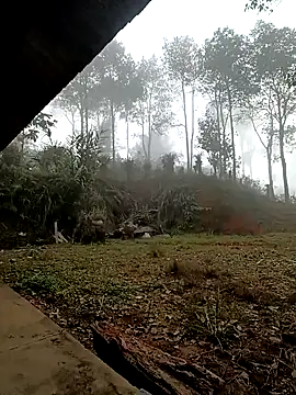 sowbibi online show from December 15, 2025, 2:17 am