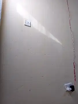 cutepussy356 online show from May 3, 2026, 5:34 am