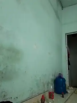  LAN  online show from October 31, 2025, 10:49 pm