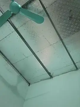  LAN  online show from October 24, 2025, 1:37 am