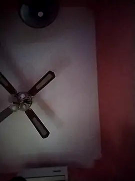 Danii2005 online show from November 4, 2025, 12:20 pm