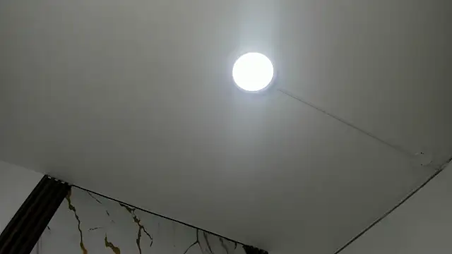 Cami venus hh online show from November 11, 2025, 12:33 pm