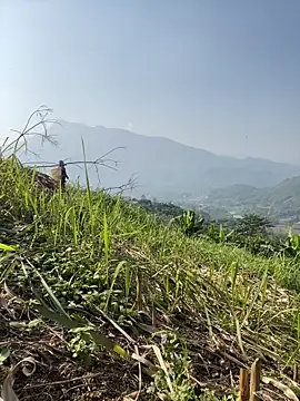 Snapshot of Irin_jo chatting on November 23, 2025, 6:45 am Irin jo online show from November 23, 2025, 6:45 am