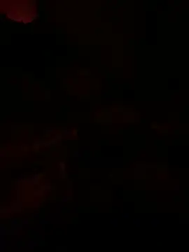 Snapshot of llllllllIIIll chatting on March 9, 2026, 8:18 am llllllllIIIll online show from March 9, 2026, 8:18 am