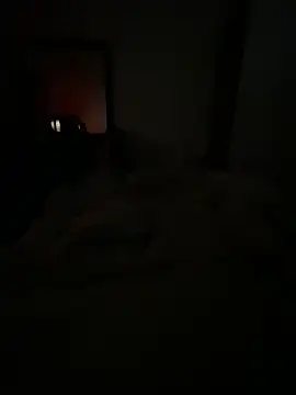 Snapshot of llllllllIIIll chatting on February 17, 2026, 4:43 am llllllllIIIll online show from February 17, 2026, 4:43 am