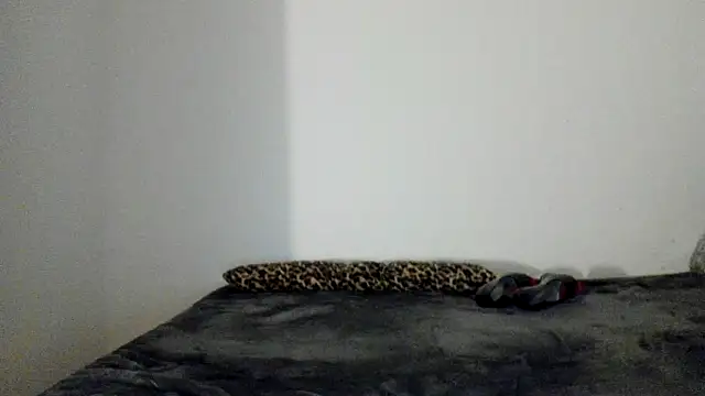 Snapshot of Blueskynicci chatting on November 13, 2025, 6:56 pm Blueskynicci online show from November 13, 2025, 6:56 pm