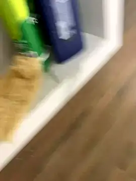 bfelipedasilva online show from November 23, 2025, 1:15 am