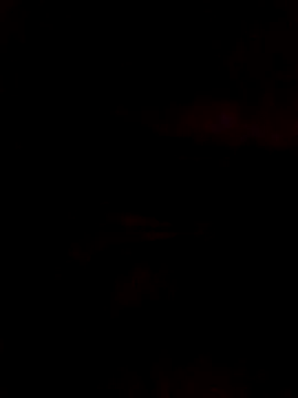 Poonam12A online show from February 7, 2026, 11:02 pm