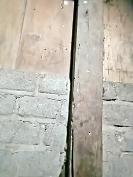 Noelle-e online show from February 22, 2026, 11:23 am