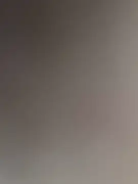 WildNour online show from November 16, 2025, 2:00 pm