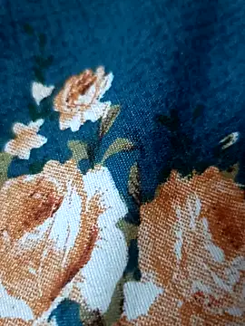 bigtelugubhama online show from February 17, 2026, 7:11 pm