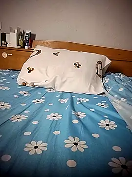 Snapshot of BD_228 chatting on April 9, 2026, 11:33 pm BD 228 online show from April 9, 2026, 11:33 pm