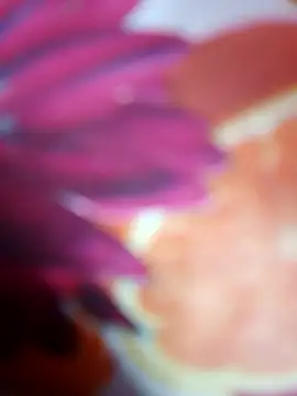 Snapshot of Laal_Parilove chatting on November 9, 2025, 6:56 pm Laal Parilove online show from November 9, 2025, 6:56 pm